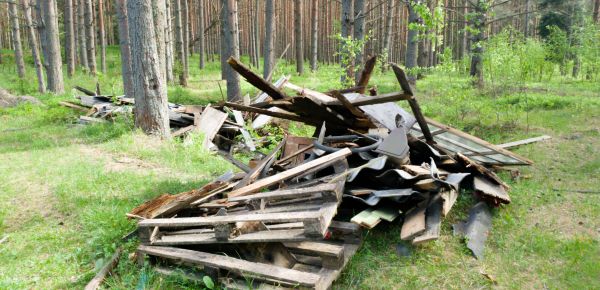 Debris Removal Service in Auburn